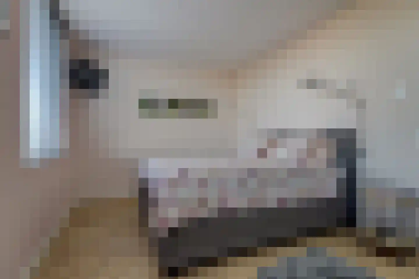 Lagelaan 8 Bleiswijk thumbnail 24