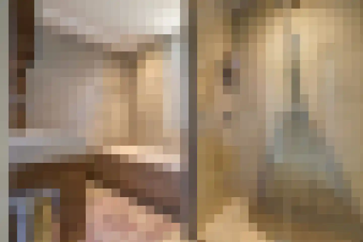 Lagelaan 8 Bleiswijk thumbnail 28
