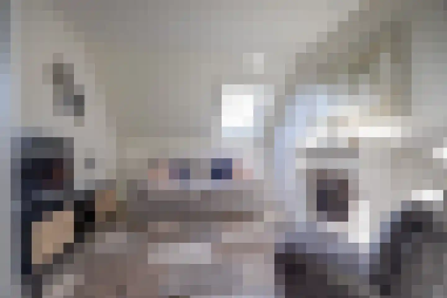 Lagelaan 8 Bleiswijk thumbnail 31