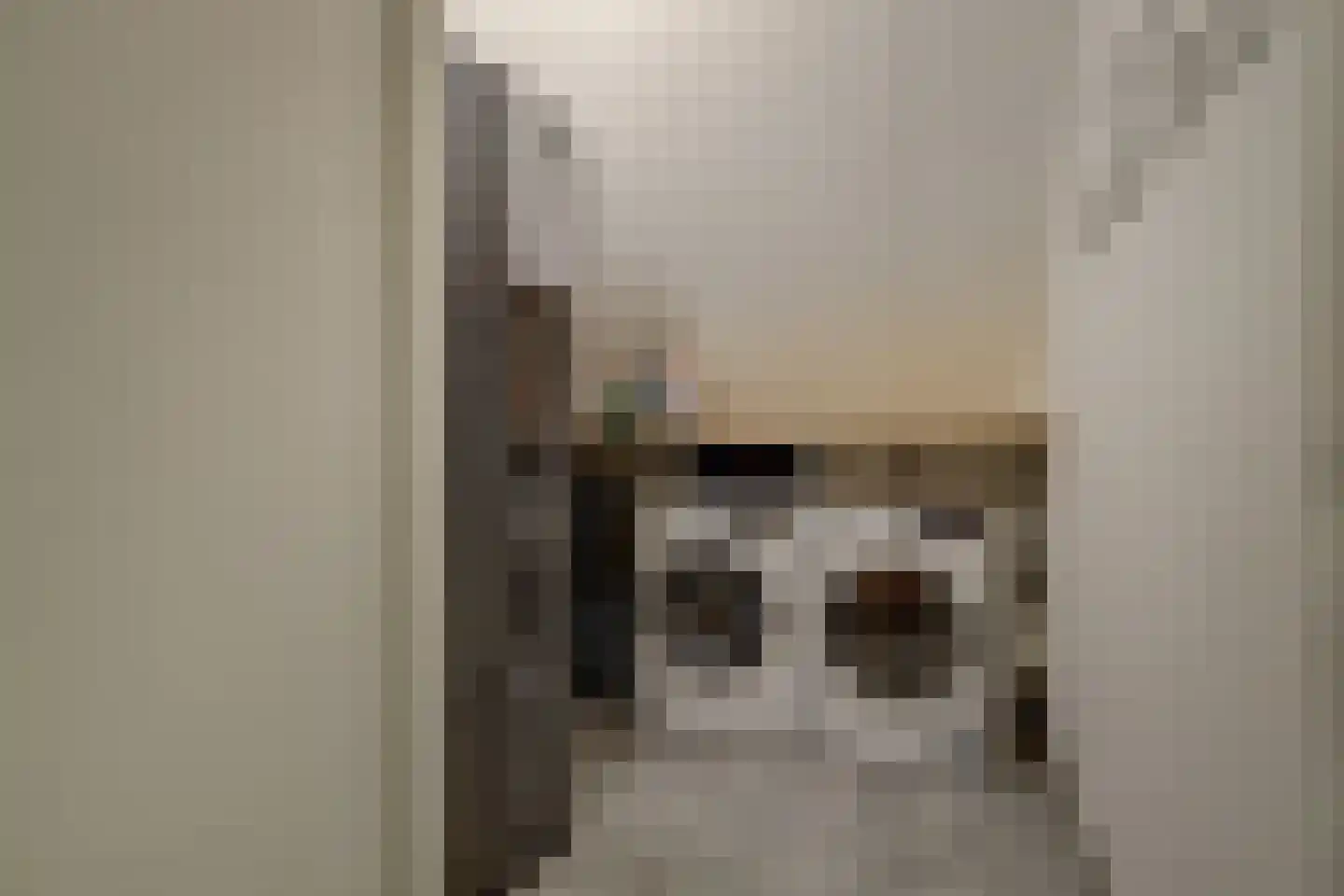 Lagelaan 8 Bleiswijk thumbnail 31