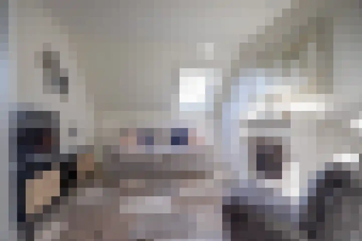 Lagelaan 8 Bleiswijk thumbnail 32
