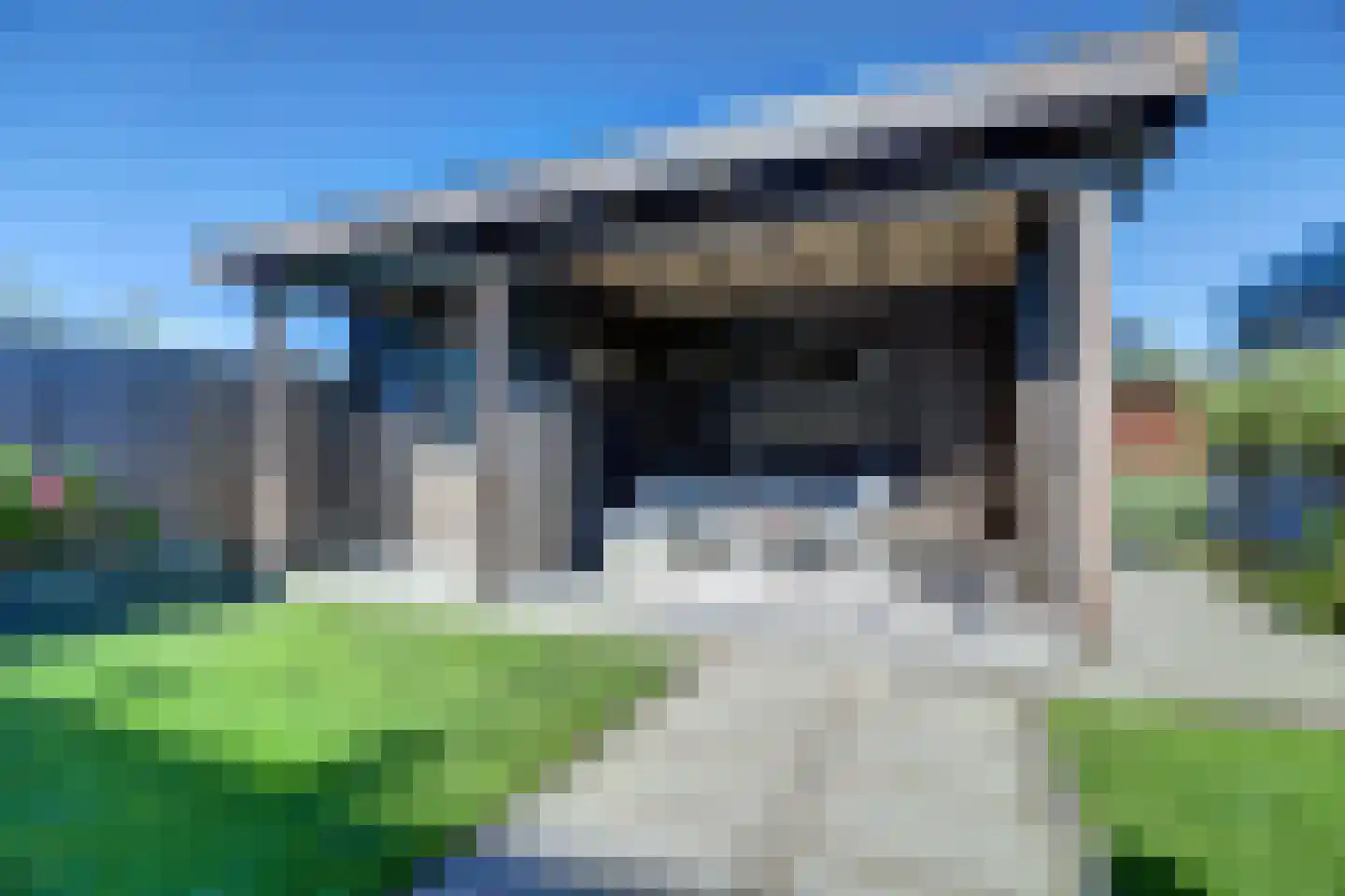 Lagelaan 8 Bleiswijk thumbnail 39