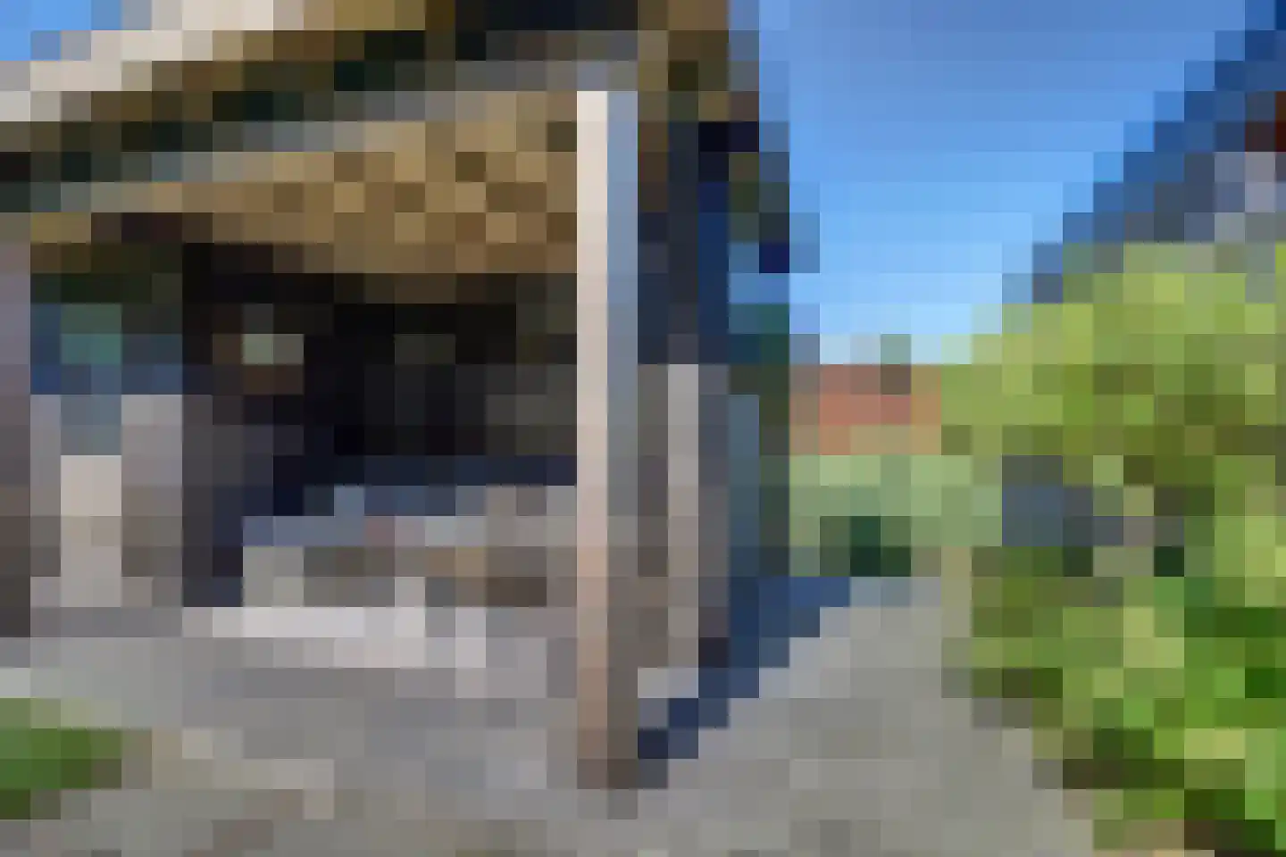 Lagelaan 8 Bleiswijk thumbnail 40