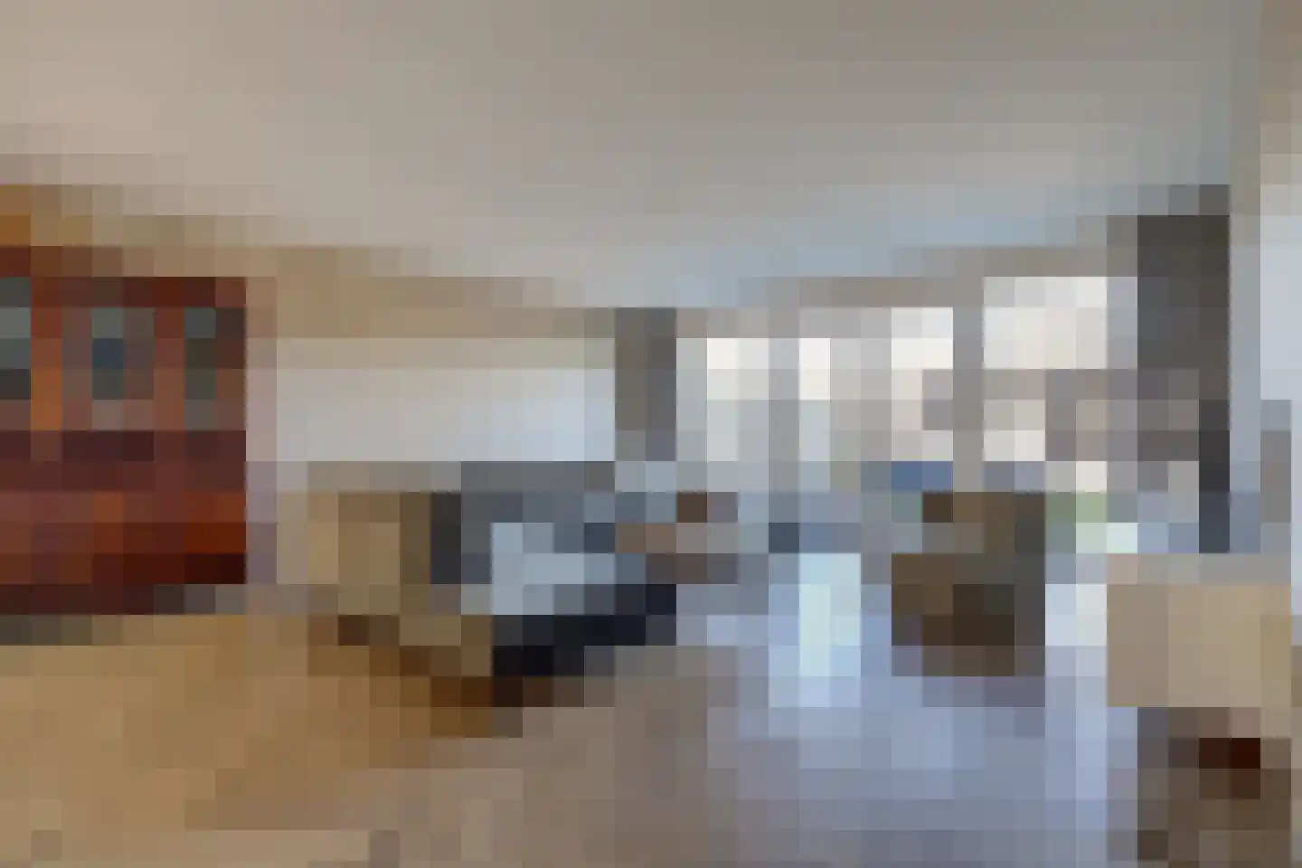 Lagelaan 8 Bleiswijk thumbnail 5