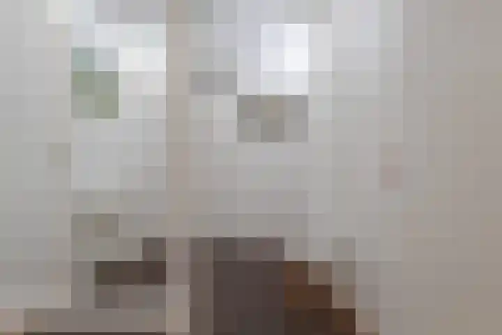 Lageland 31 Hattem thumbnail 24