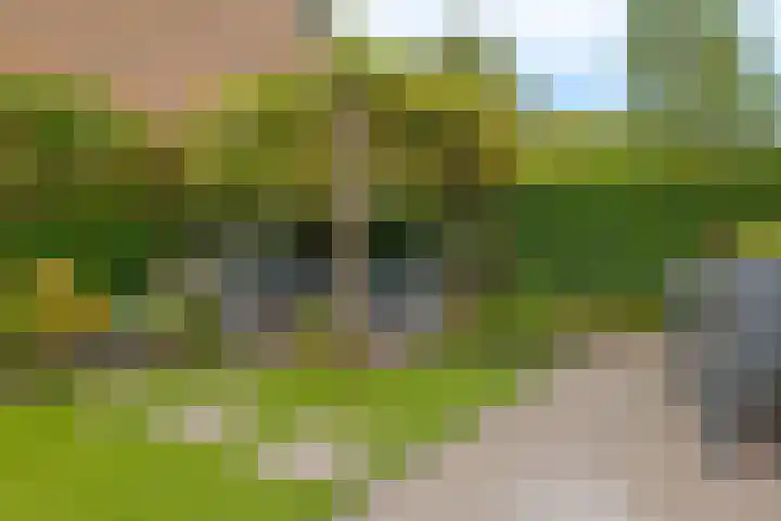 Lageland 31 Hattem thumbnail 45