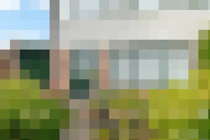 Lageland 31 Hattem thumbnail 46
