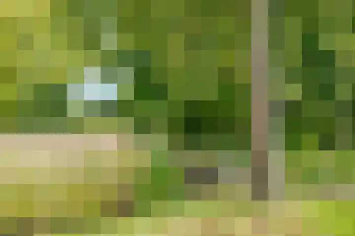 Lageland 31 Hattem thumbnail 48