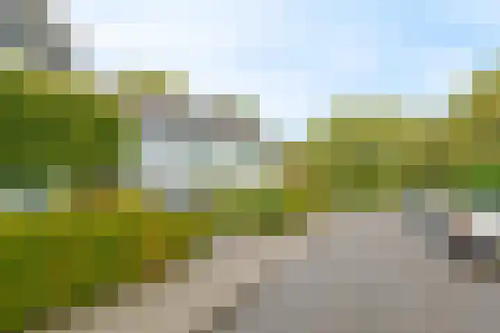 Lageland 31 Hattem thumbnail 5