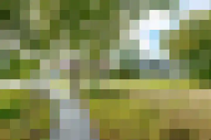 Lageland 31 Hattem thumbnail 6