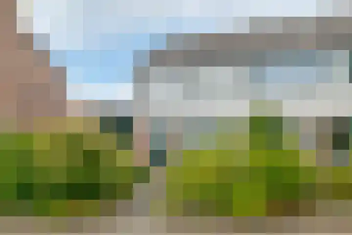 Lageland 31 Hattem thumbnail 7