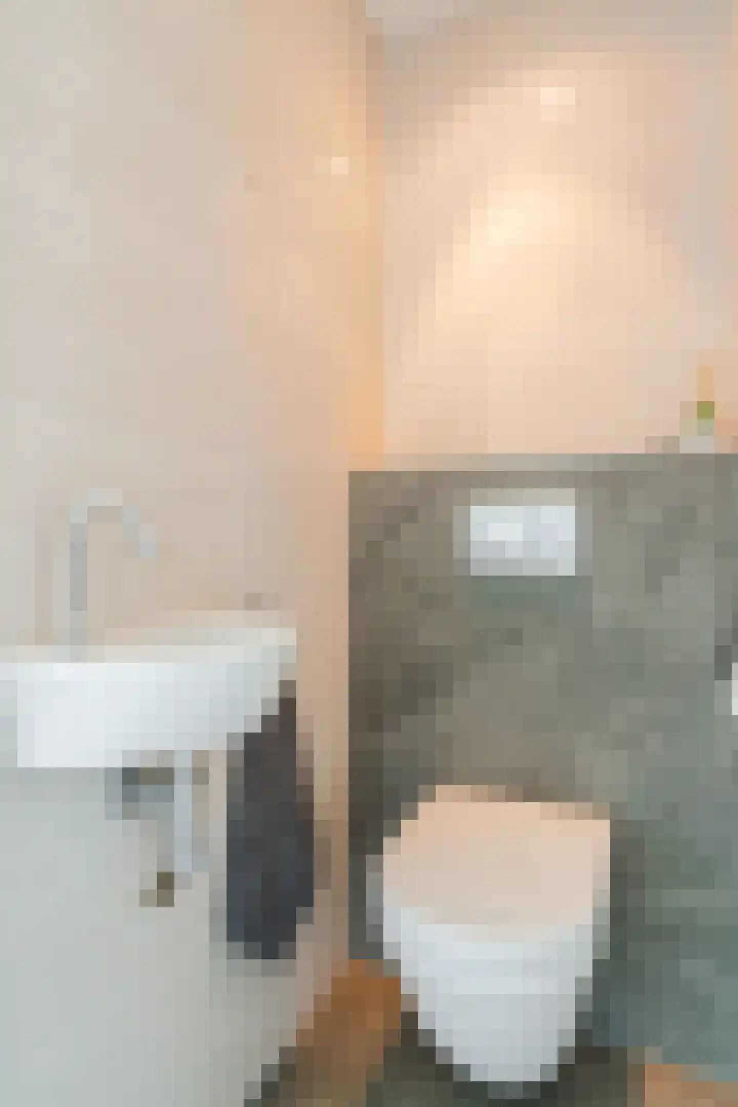 Lageland 7 Hattem thumbnail 21