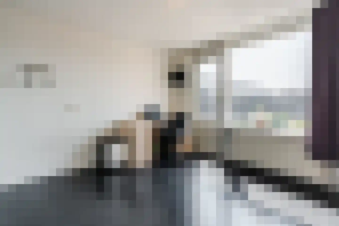 Lageland 7 Hattem thumbnail 29