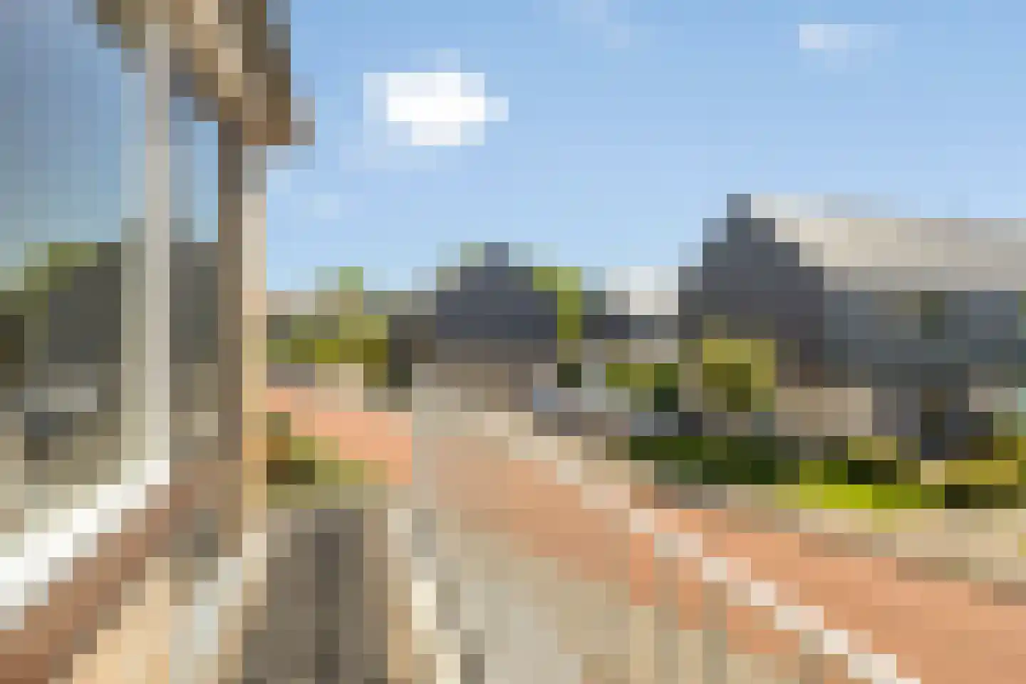 Lageland 7 Hattem thumbnail 30