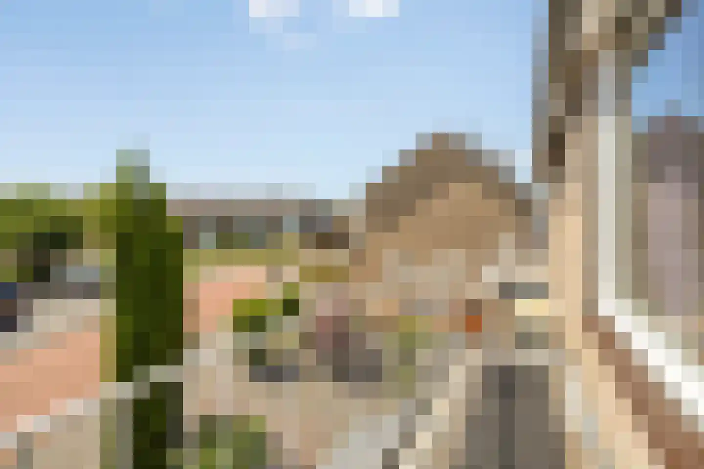 Lageland 7 Hattem thumbnail 31