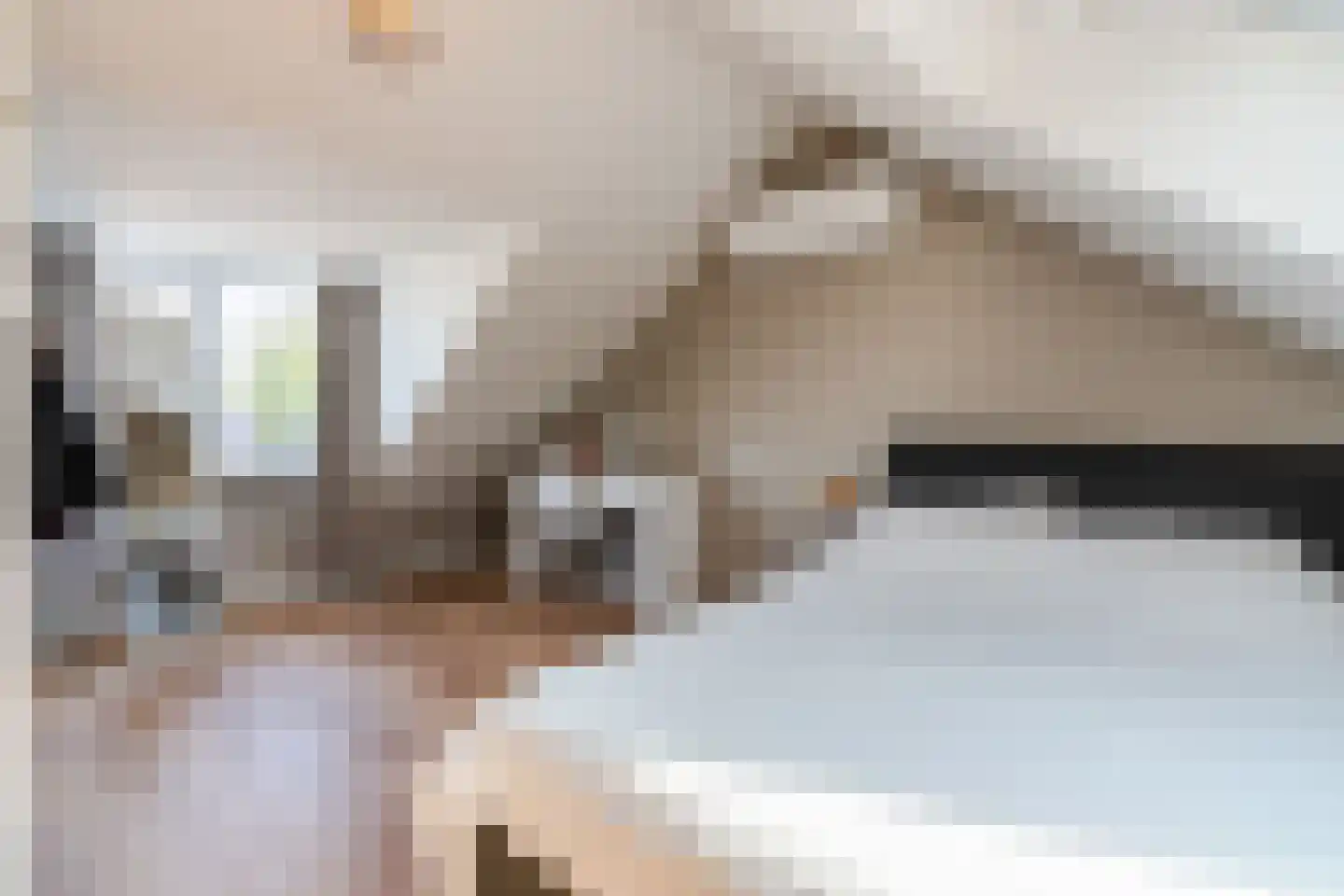 Lageland 7 Hattem thumbnail 41