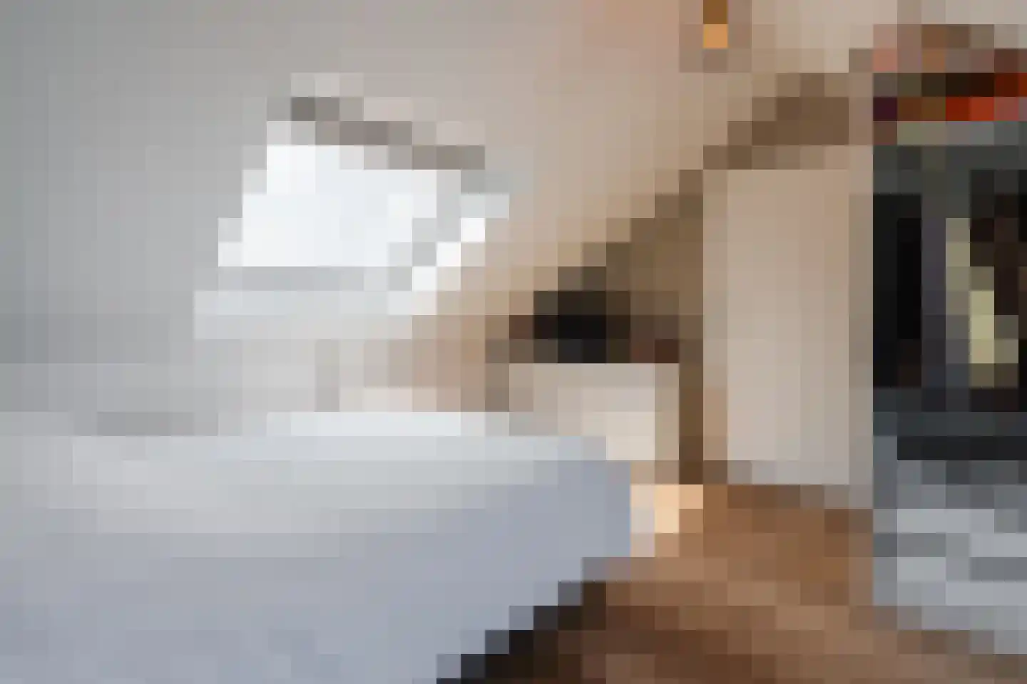 Lageland 7 Hattem thumbnail 42