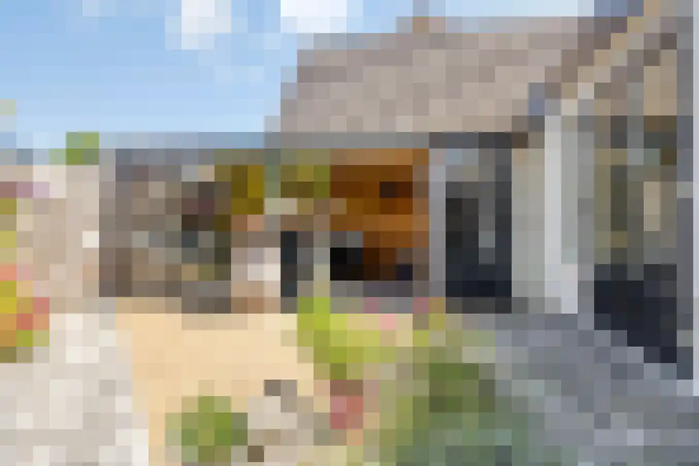 Lageland 7 Hattem thumbnail 47