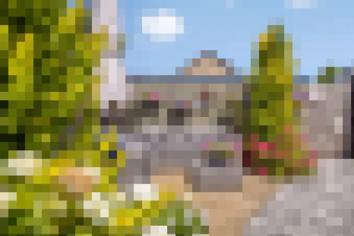 Lageland 7 Hattem thumbnail 54