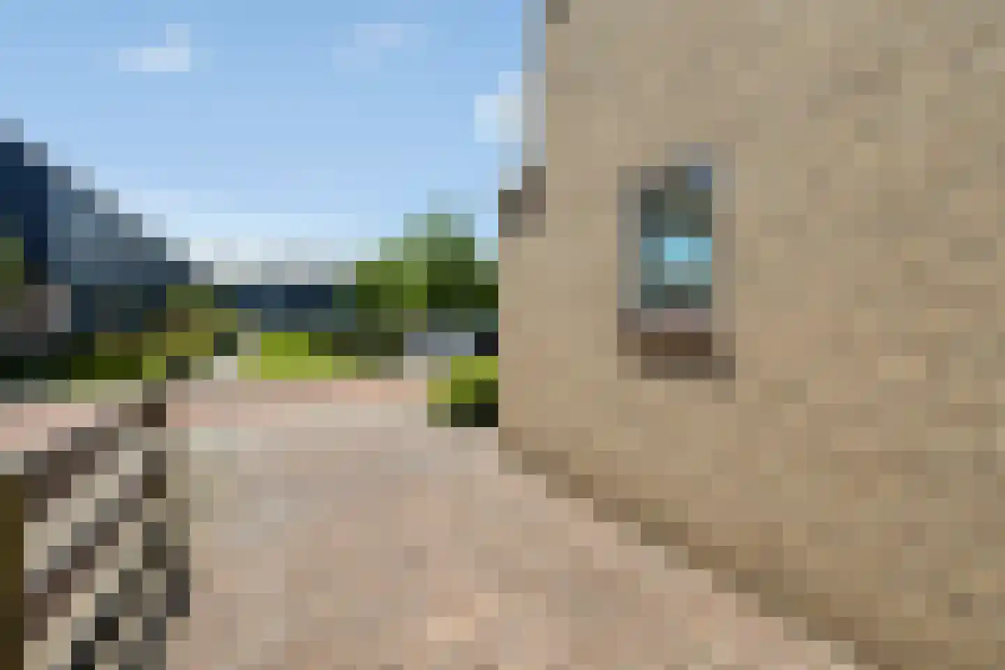 Lageland 7 Hattem thumbnail 56