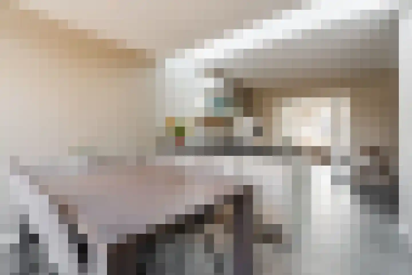 Lageland 7 Hattem thumbnail 8