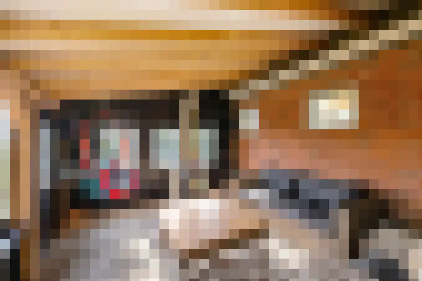 Lagelandsterweg 7 Lageland thumbnail 12