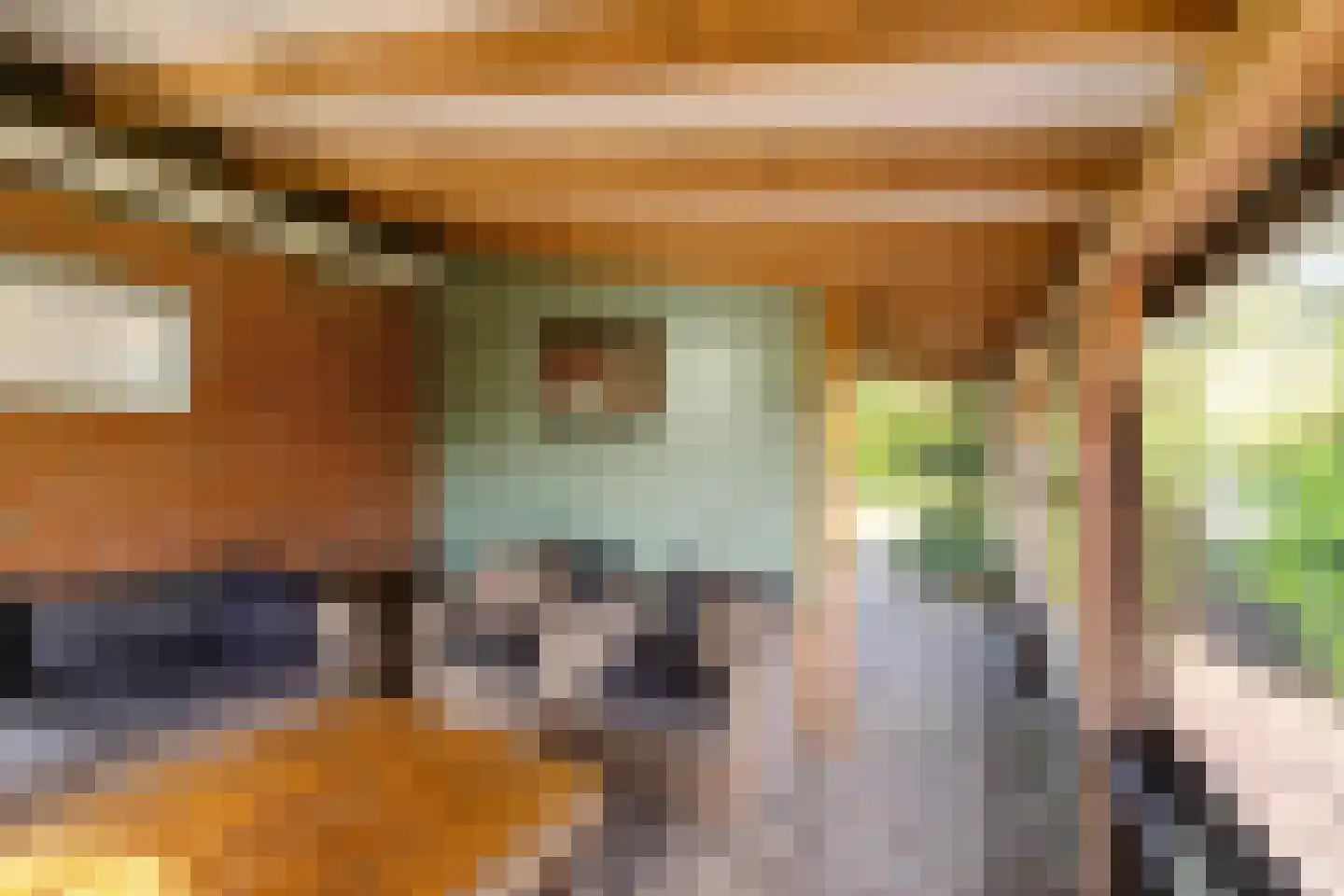 Lagelandsterweg 7 Lageland thumbnail 13