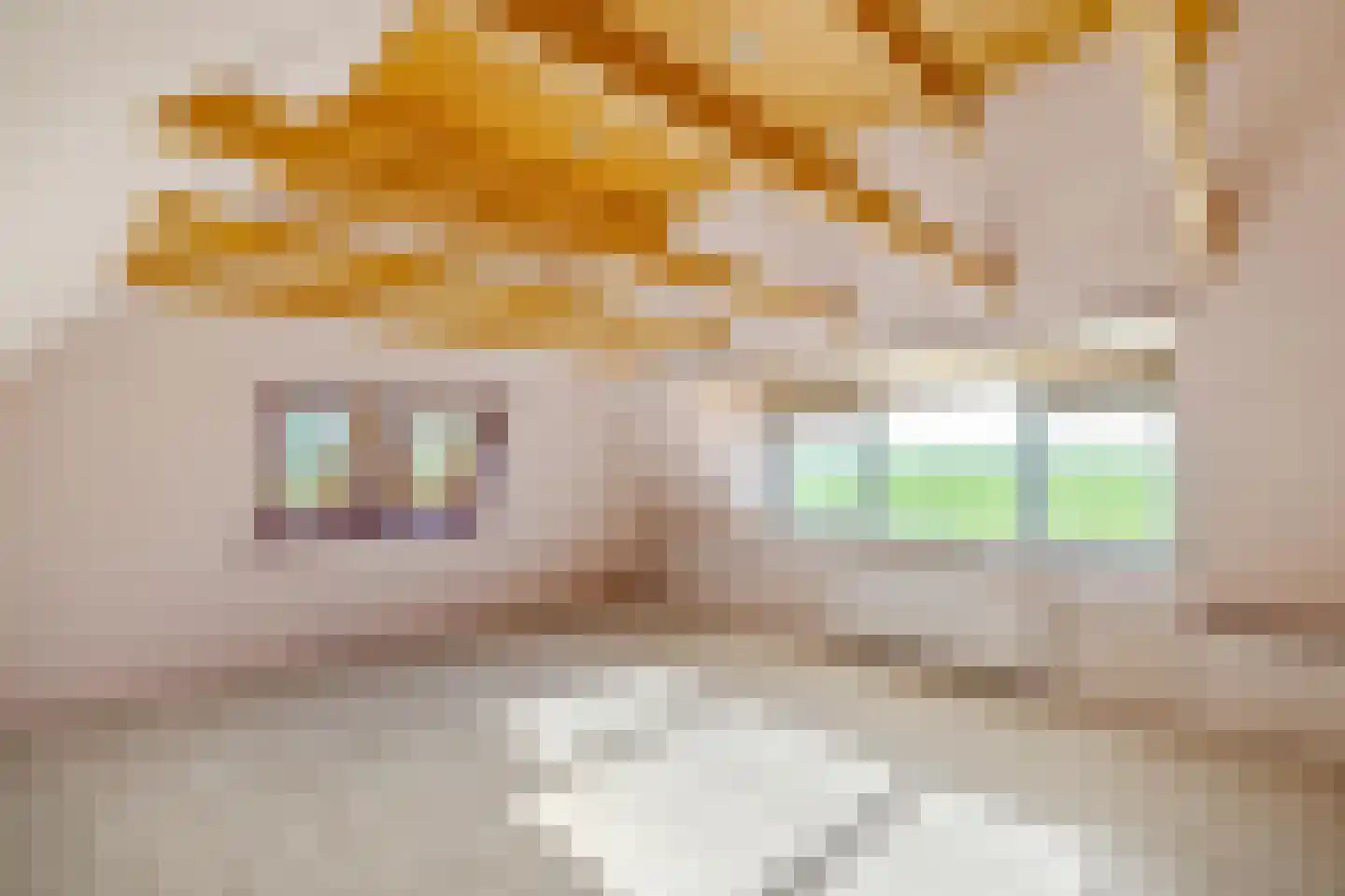 Lagelandsterweg 7 Lageland thumbnail 34