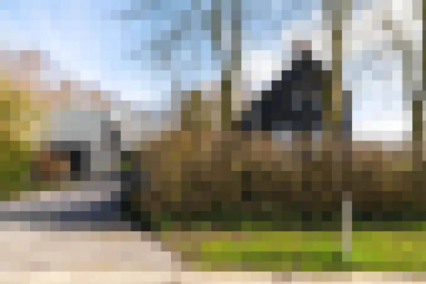 Lagelandsterweg 7 Lageland thumbnail 4