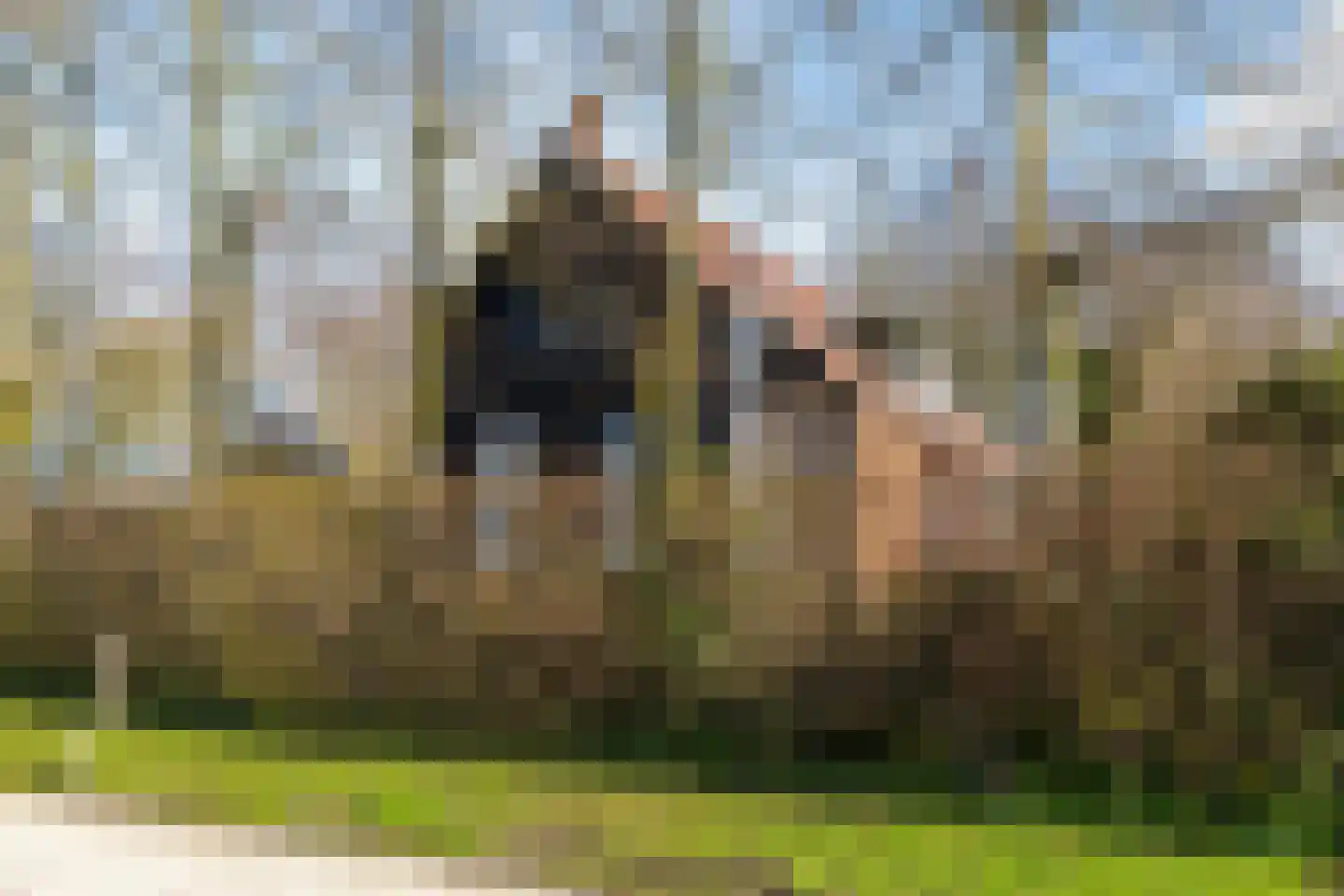 Lagelandsterweg 7 Lageland thumbnail 5