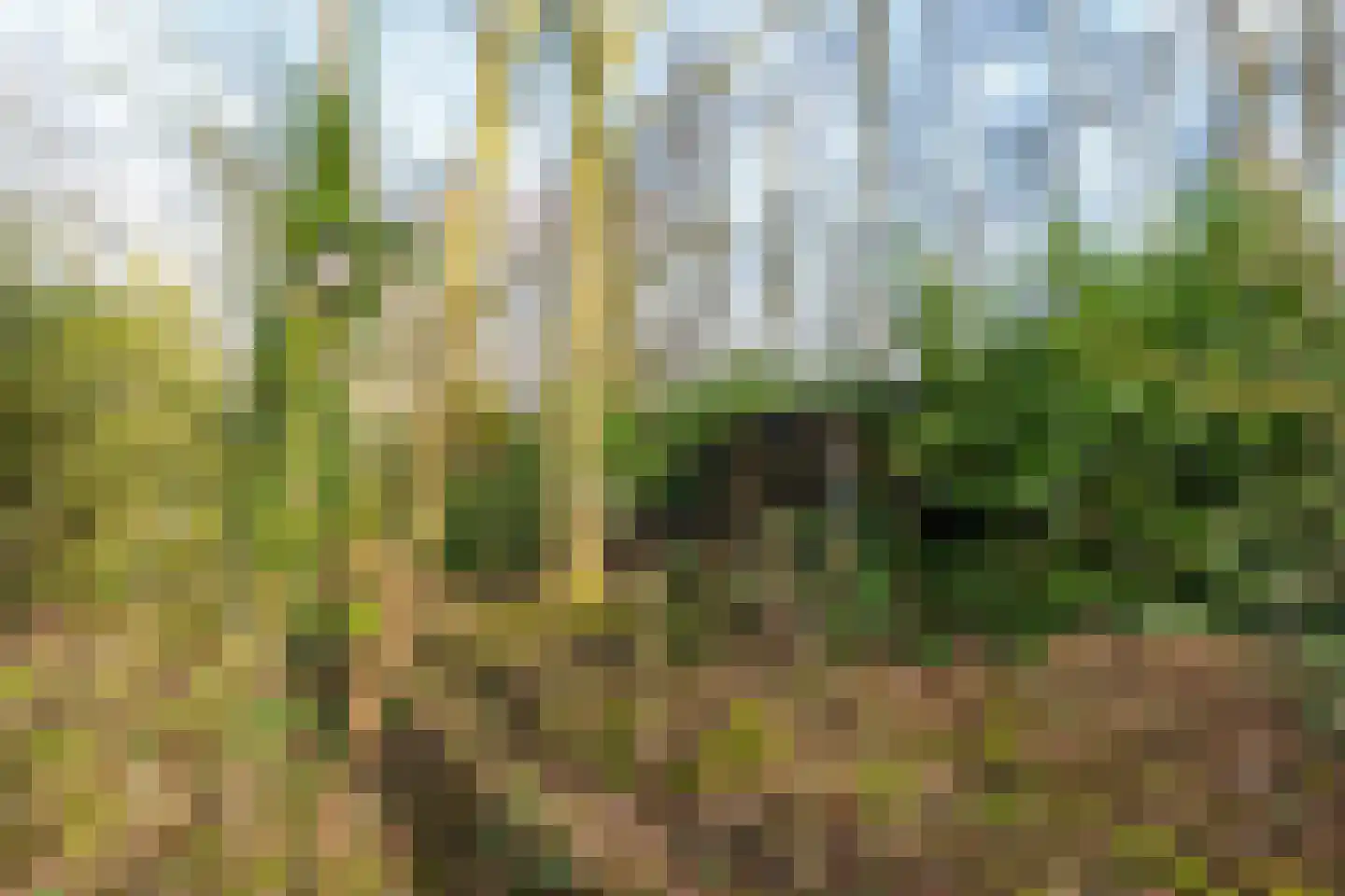 Lagelandsterweg 7 Lageland thumbnail 51