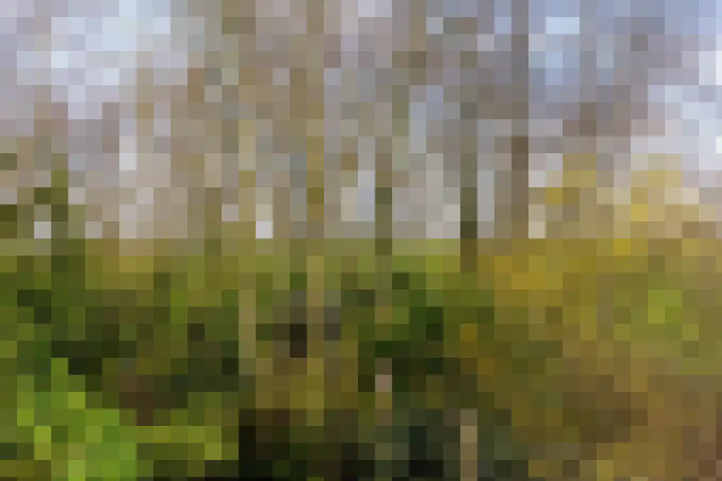 Lagelandsterweg 7 Lageland thumbnail 52