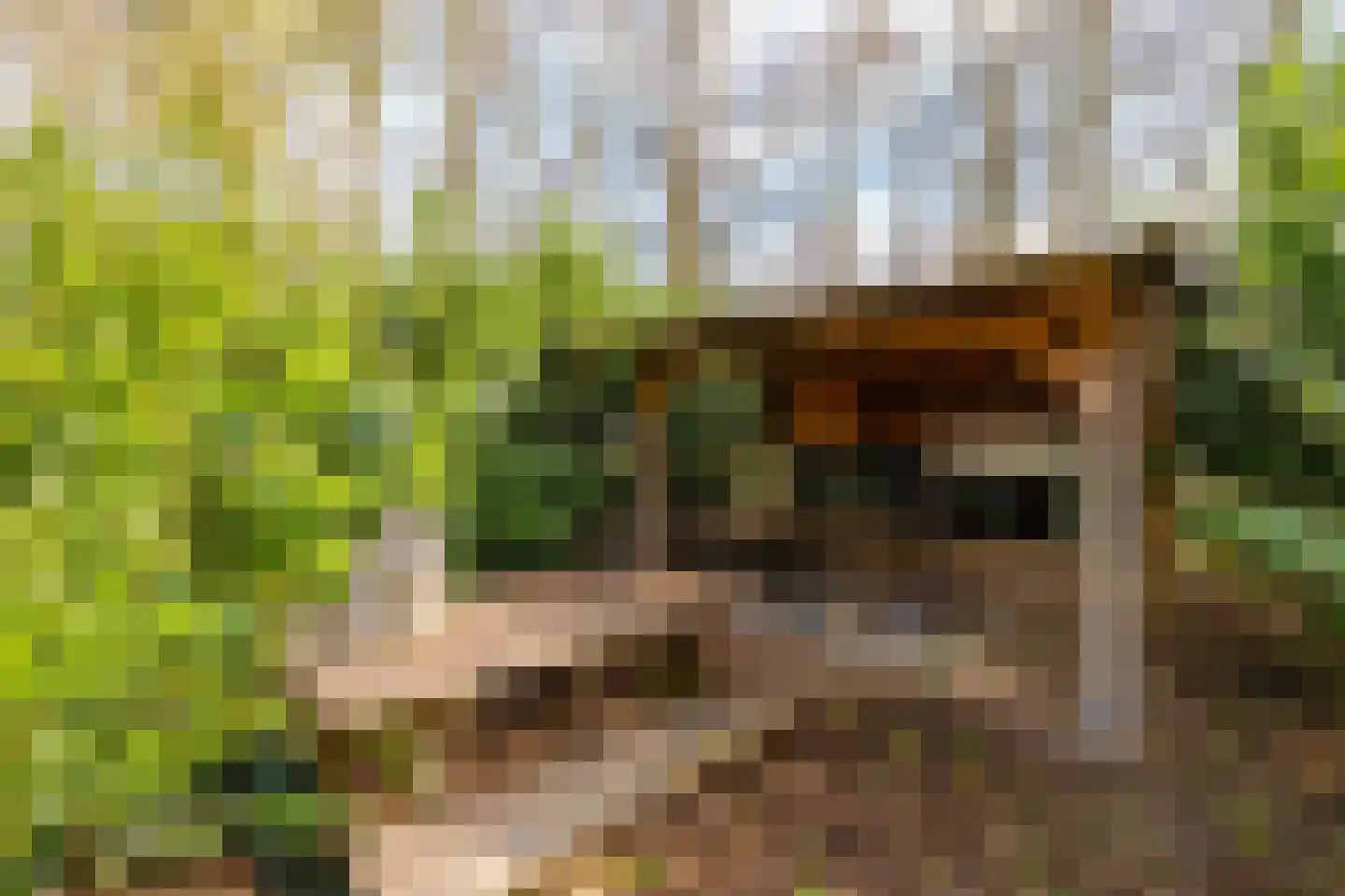 Lagelandsterweg 7 Lageland thumbnail 54