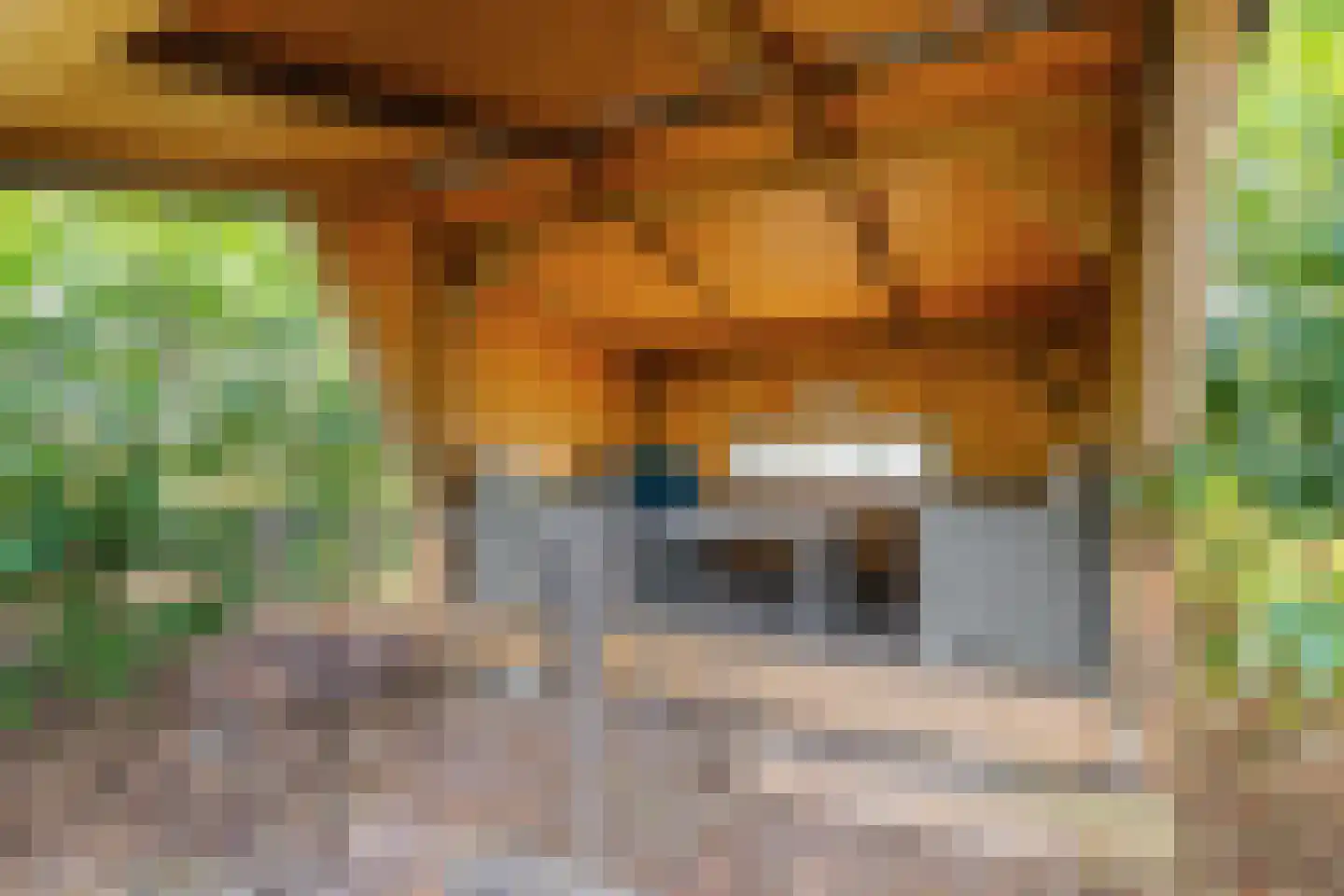 Lagelandsterweg 7 Lageland thumbnail 55