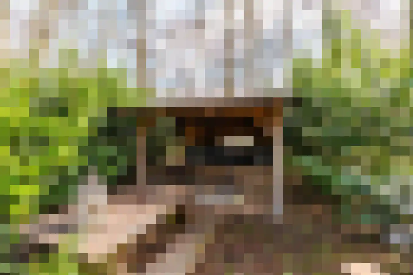 Lagelandsterweg 7 Lageland thumbnail 56