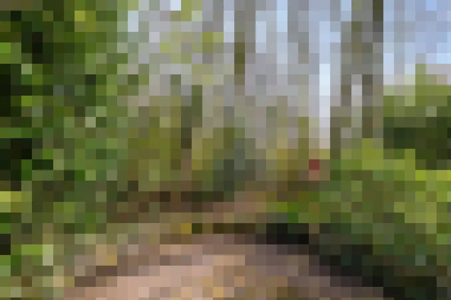 Lagelandsterweg 7 Lageland thumbnail 57