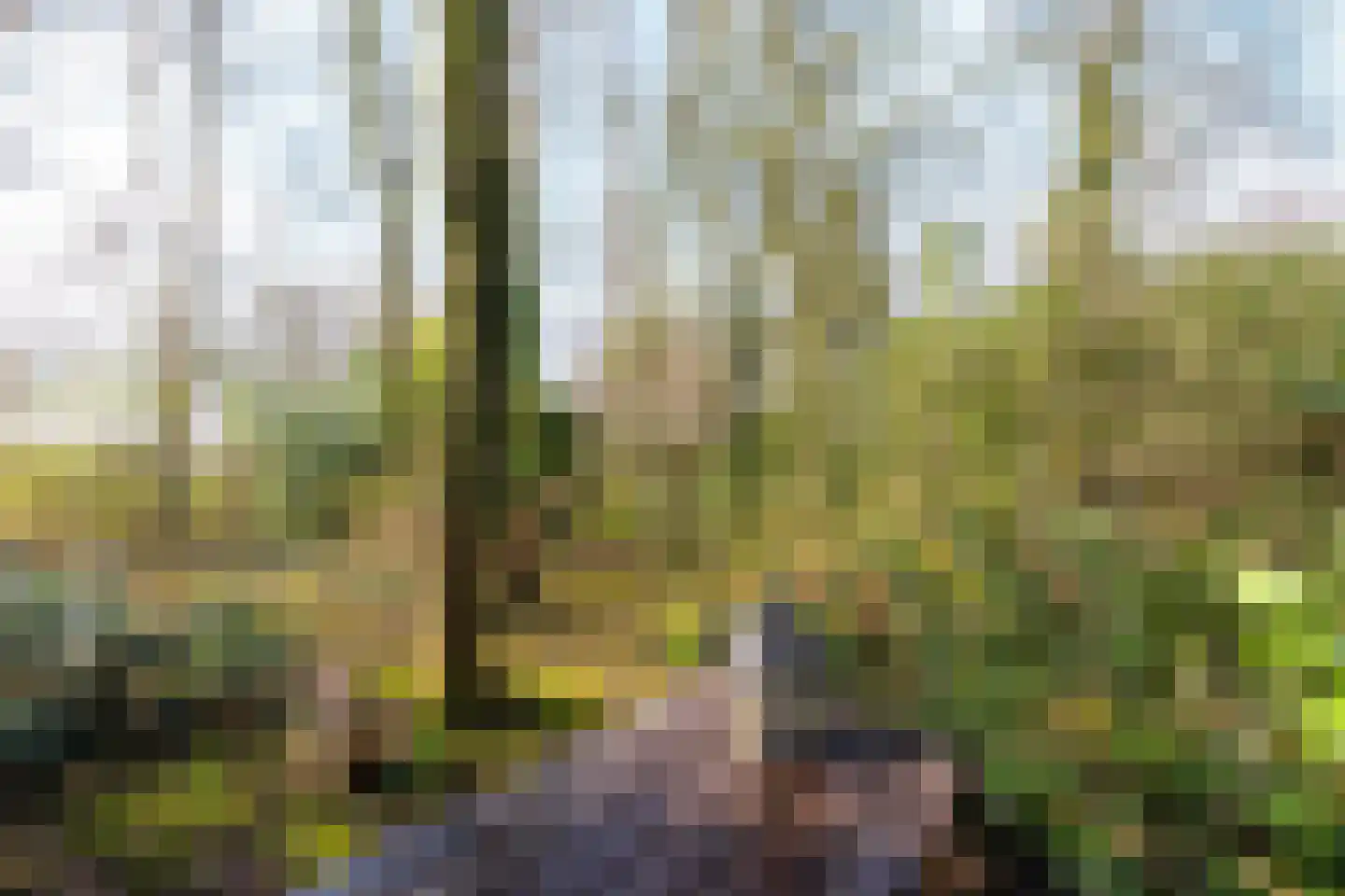 Lagelandsterweg 7 Lageland thumbnail 58