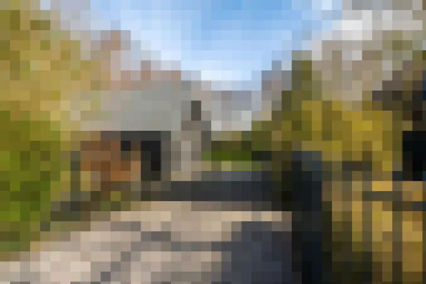 Lagelandsterweg 7 Lageland thumbnail 6