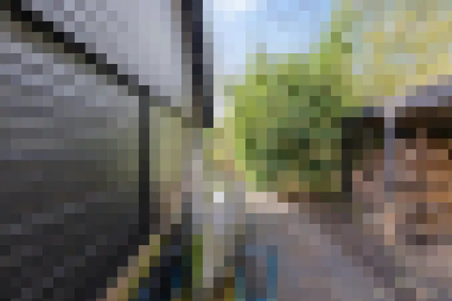 Lagelandsterweg 7 Lageland thumbnail 60