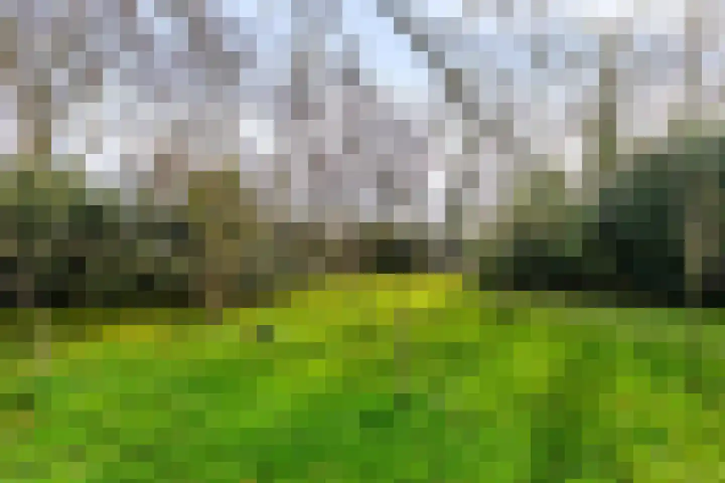 Lagelandsterweg 7 Lageland thumbnail 61
