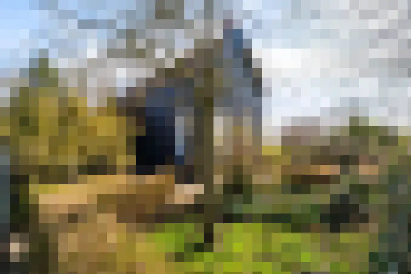 Lagelandsterweg 7 Lageland thumbnail 7