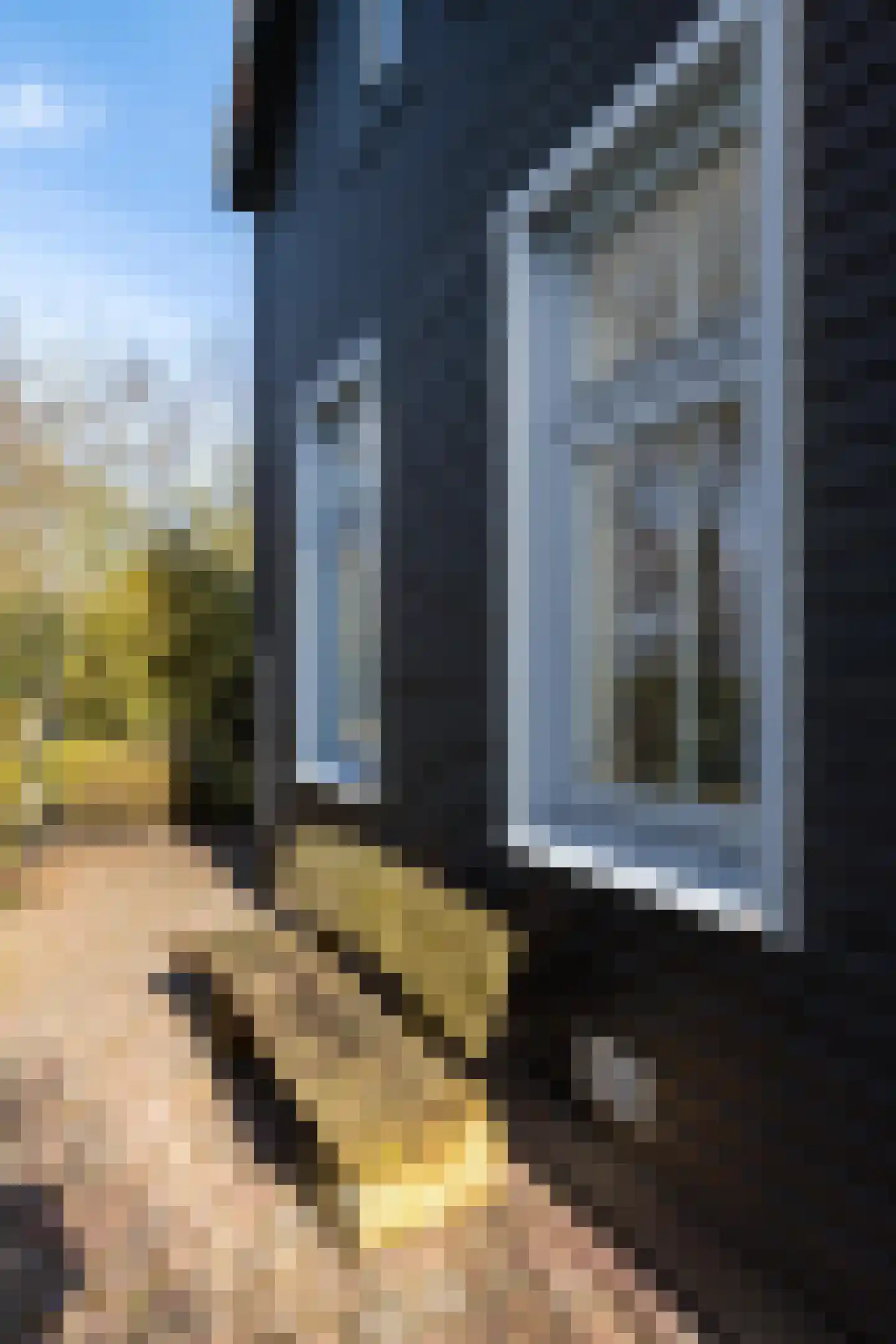 Lagelandsterweg 7 Lageland thumbnail 8