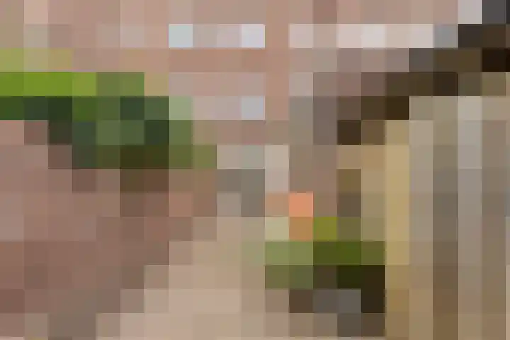 Lagelandstraat 10 's-Hertogenbosch thumbnail 10