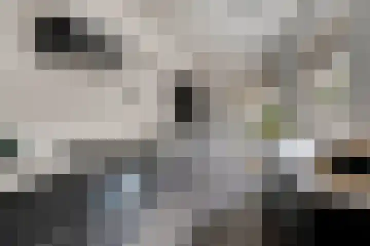 Lagelandstraat 10 's-Hertogenbosch thumbnail 11