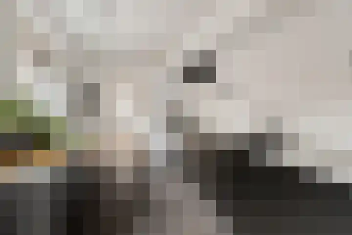 Lagelandstraat 10 's-Hertogenbosch thumbnail 12