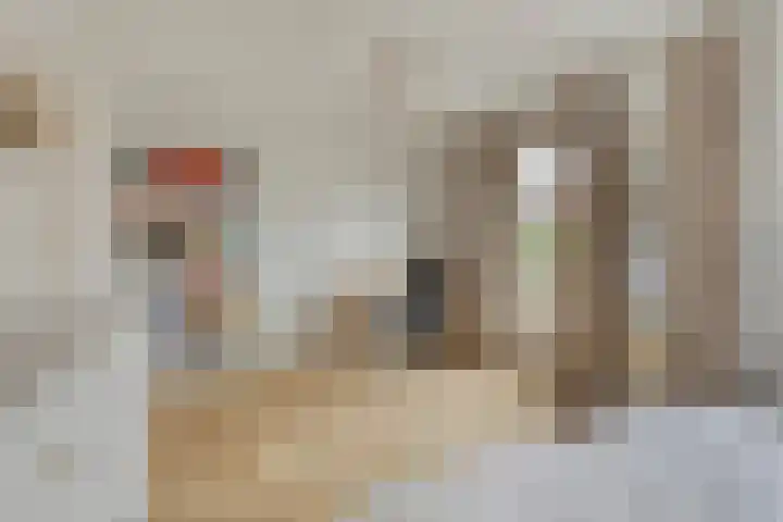 Lagelandstraat 10 's-Hertogenbosch thumbnail 15