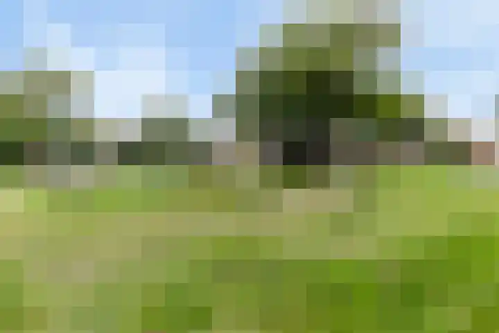 Lagelandstraat 10 's-Hertogenbosch thumbnail 22