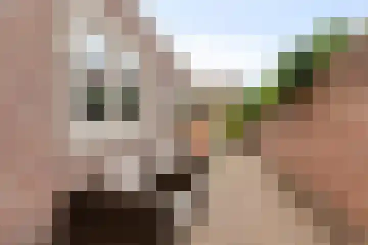 Lagelandstraat 10 's-Hertogenbosch thumbnail 8