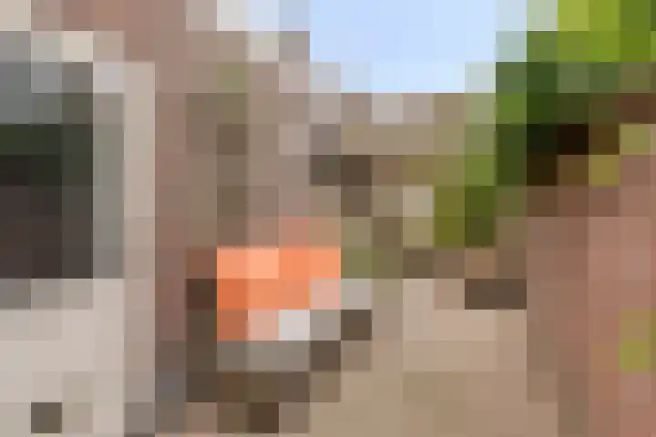 Lagelandstraat 10 's-Hertogenbosch thumbnail 9