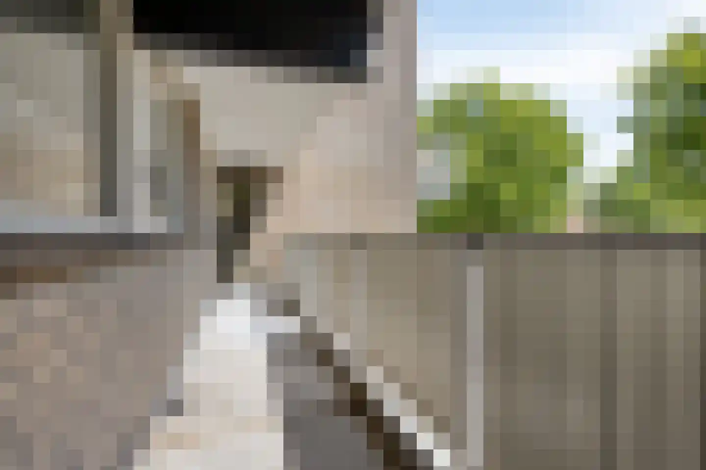 Lagelandstraat 138 's-Hertogenbosch thumbnail 15
